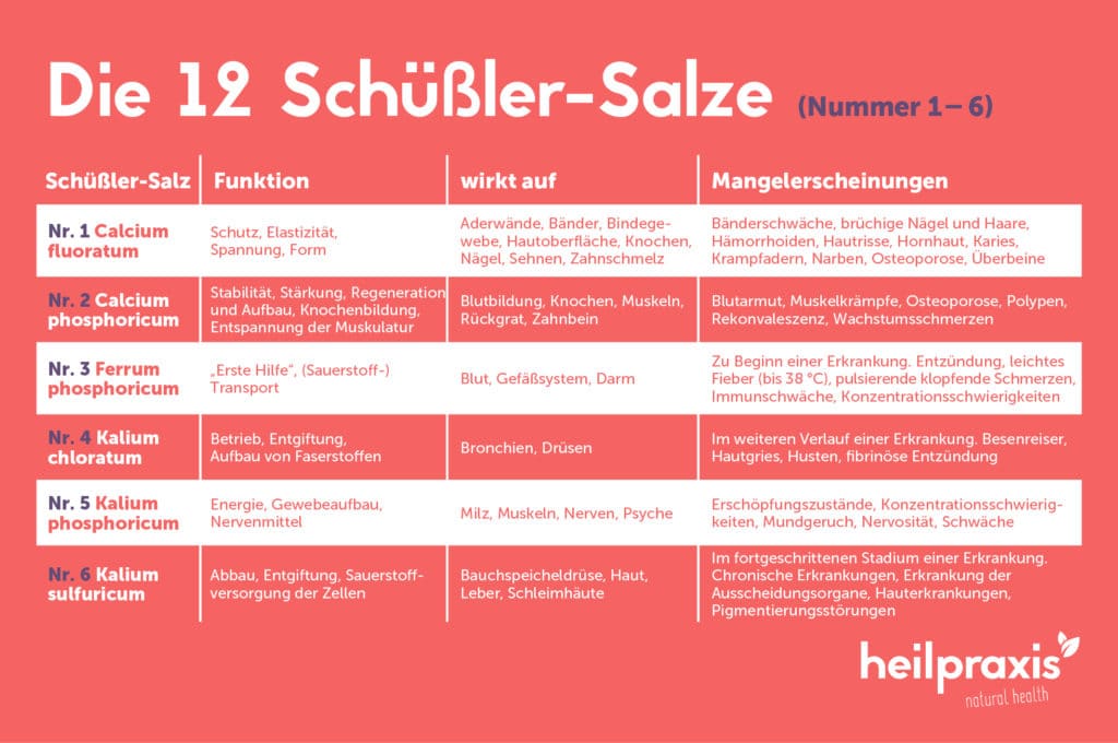 Grafik Übersicht der Schüßler-Salze Nummer 1 bis 6