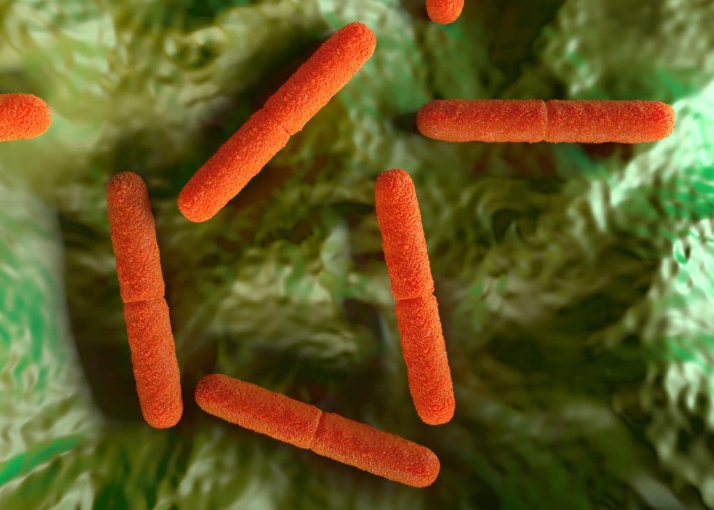 Illustration des Bakteriums Clostridium botulinum
