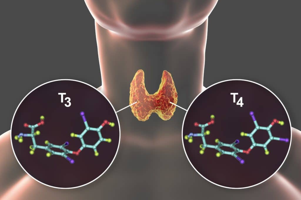 Abbildung Schilddruesenhormone T3 und T4