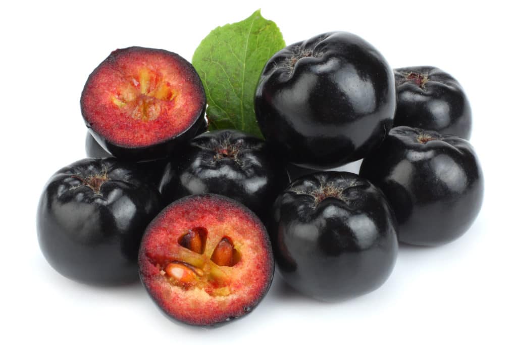 Apfelbeeren (Aronia)