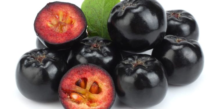 Apfelbeeren (Aronia)