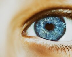 Großaufnahme eines Auges