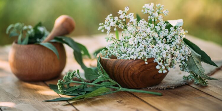 Mörser und Pistill aus Holz stehen auf einem Holztisch und sind mit Baldrianblättern und Baldrianblüten gefüllt