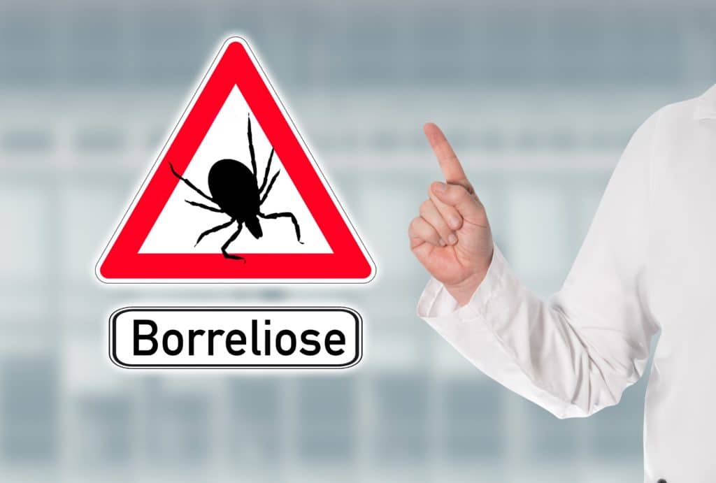 Arzt warnt mit Warnschild vor Zecken und Borreliose