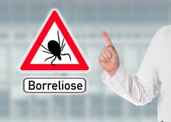 Arzt warnt mit Warnschild vor Zecken und Borreliose