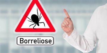 Arzt warnt mit Warnschild vor Zecken und Borreliose
