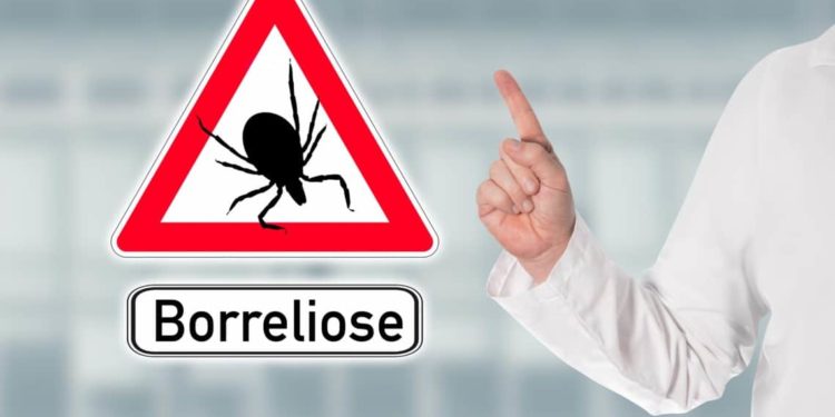 Arzt warnt mit Warnschild vor Zecken und Borreliose