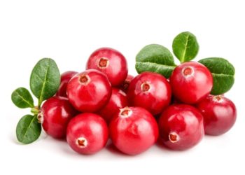 Cranberries mit Blättern auf weißem Hintergrund.