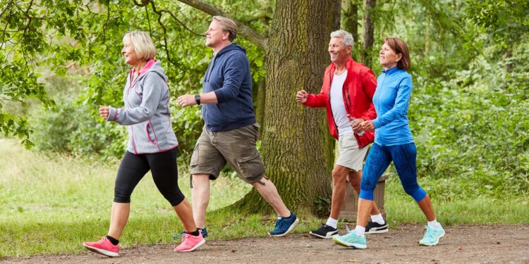 Vier ältere Menschen beim sportlichen Waldspaziergang