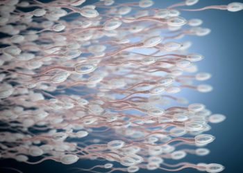 3D-Illustration von Spermien, die nach rechts schwimmen.