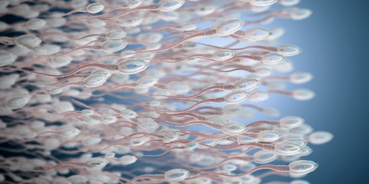 3D-Illustration von Spermien, die nach rechts schwimmen. 