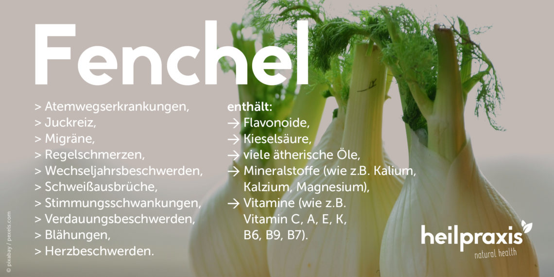 Fencheltee Anwendung, Zubereitung und Wirkung Heilpraxis