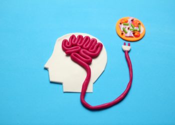 Das Gehirn spielt bei der Kontrolle des Körpergewichtes eine wesentlich größere Rolle als bislang gedacht. (Bild: Andrii Zastrozhnov/stock.adobe.com)