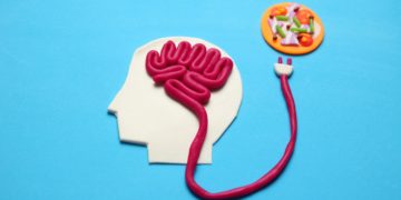 Das Gehirn spielt bei der Kontrolle des Körpergewichtes eine wesentlich größere Rolle als bislang gedacht. (Bild: Andrii Zastrozhnov/stock.adobe.com)