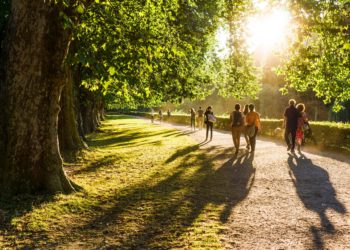 Spaziergänger im Park in der Abendsonne