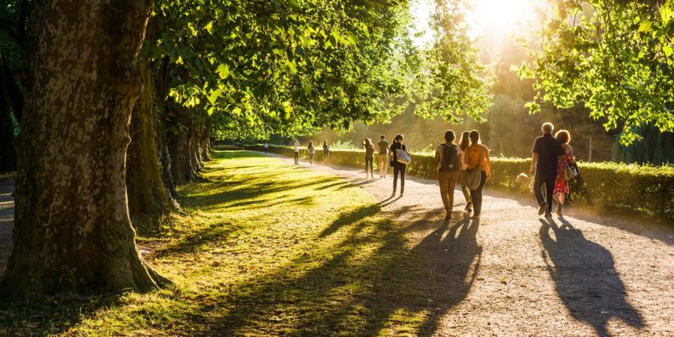 Spaziergänger im Park in der Abendsonne