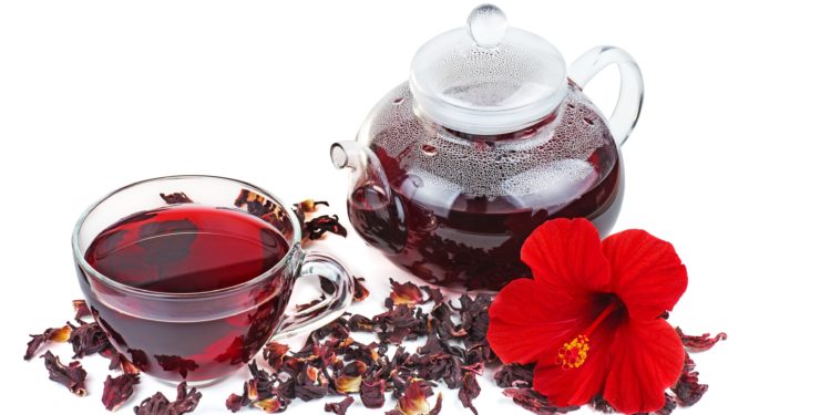 Eine Teekanne und Teetasse mit rotem Hibiskustee, drumherum getrocknete Hibiskusblüten und eine große frische Blüte.
