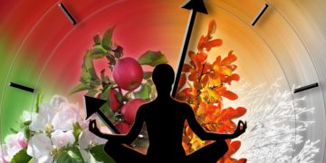Die Art der Ernährung scheint sowohl die innere Uhr als auch die Stresshormone zu beeinflussen. (Bild: fotoyou/stock.adobe.com)