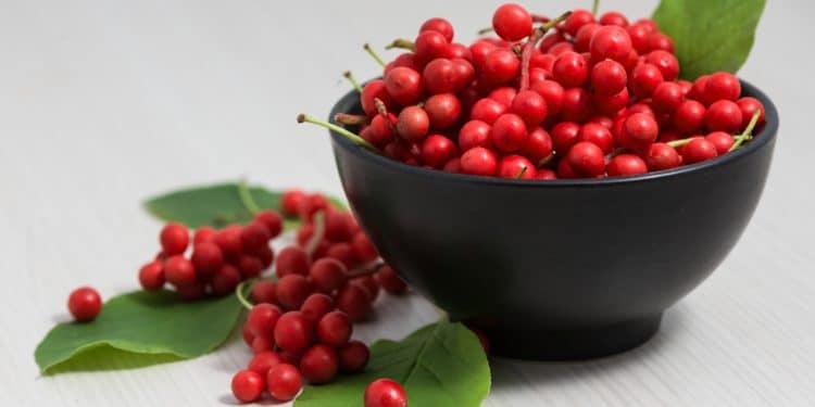 Schisandra-Beeren liegen in einer Schale und zusammen mit drei Blättern neben dieser auf dem Tisch.