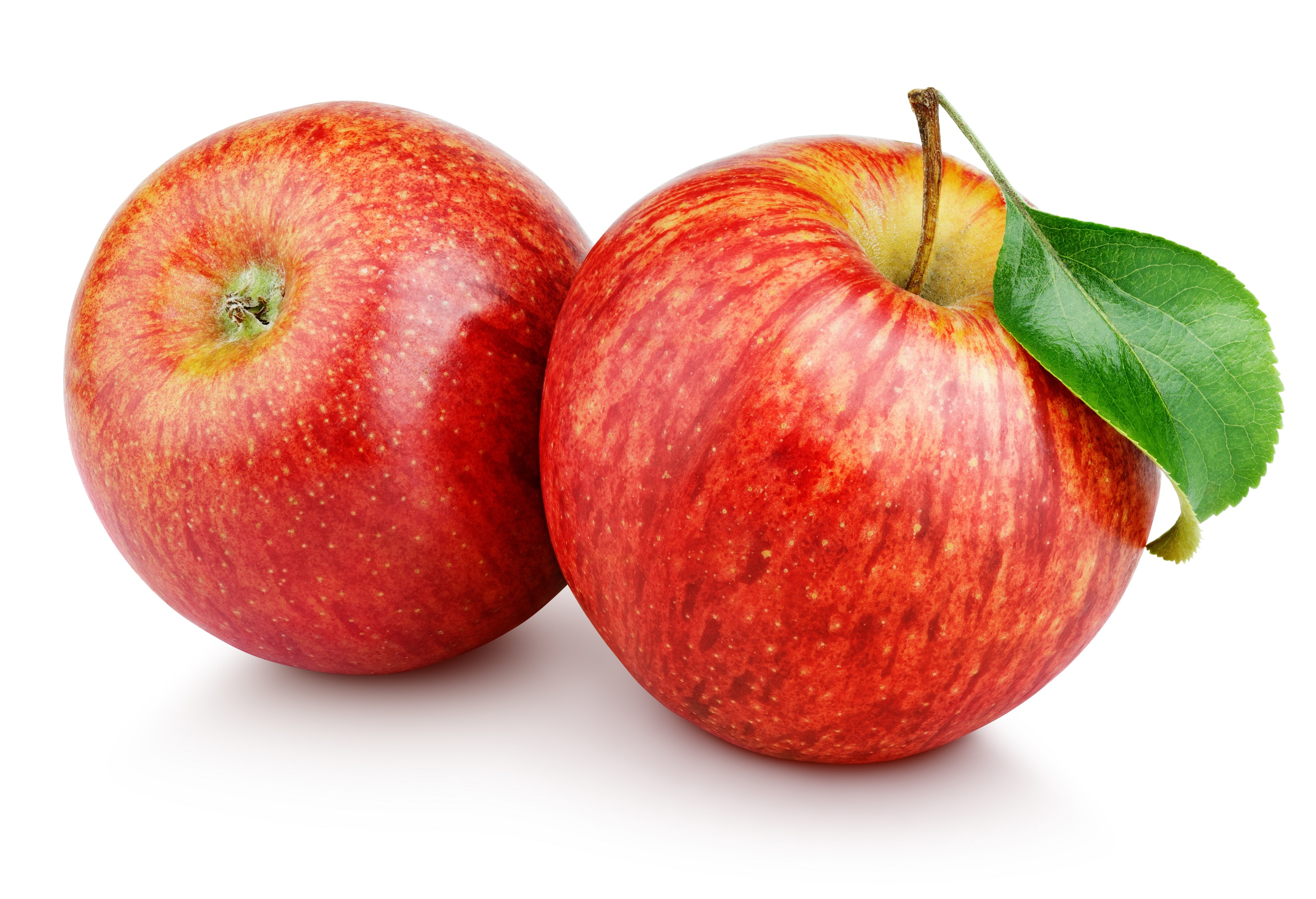 Zwei Äpfel am Tag schützen laut Studie vor Herzinfarkt – Heilpraxis