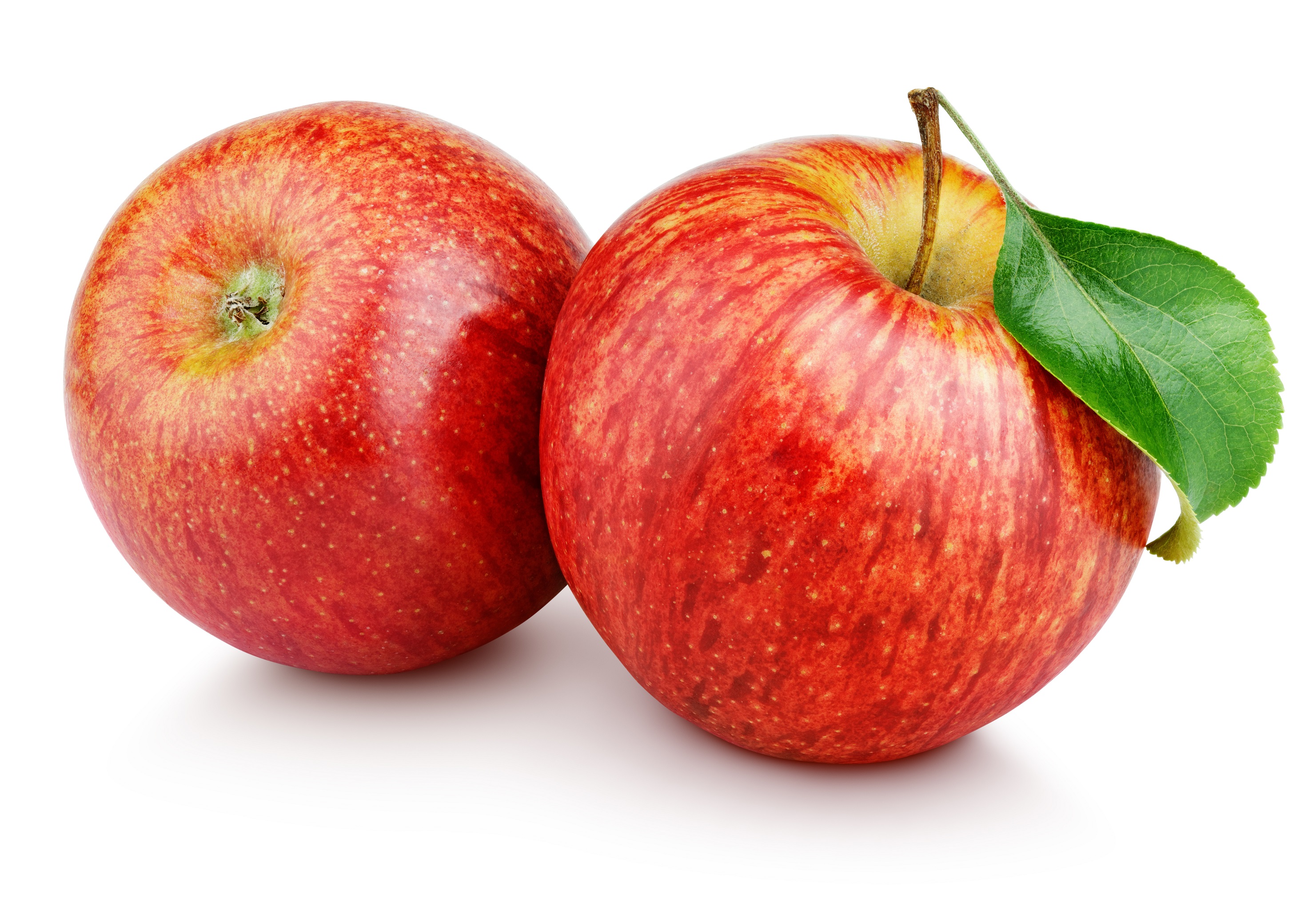 Zwei Äpfel pro Tag schützen vor Herzinfarkt – Naturheilkunde