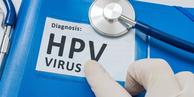 Blauer Ordner mit Patientenakten mit HPV-Virusdiagnose