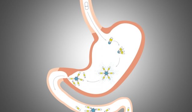Eine Darstellung wie eine neuartige Langzeitpille den Magen-Darmtrakt durchläuft.