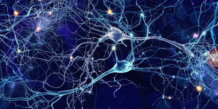 Eine grafische Darstellung von vernetzten Nervenzellen im Gehirn.