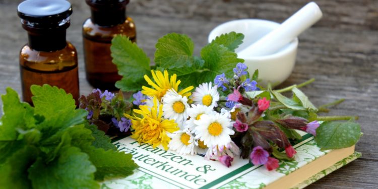 Verschiedene bunte Blüten liegen auf einem Buch über Heilpflanzen mit Mörser, Stößel und Arzneimittelfläschchen im Hintergrund