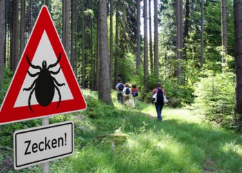 Schild mit Zeckenwarnung im Wald und dahinter einige Wanderer