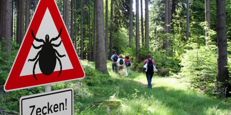 Schild mit Zeckenwarnung im Wald und dahinter einige Wanderer