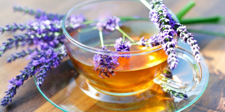 Eine Tasse mit Lavendeltee und einige Lavendelblüten. 