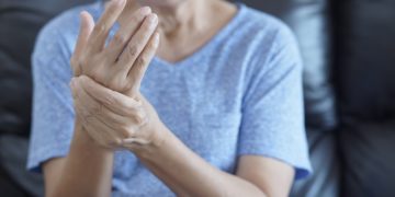 Auch bei Arthritis zeigt Cichorium Intybus vielversprechende Wirkungen. (Bild: adiruch na chiangmai/stock.adobe.com)