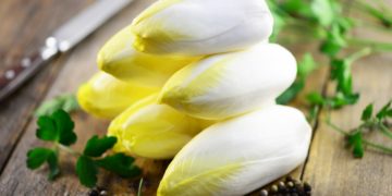 Am bekanntesten ist Wegwarte natürlich in der Zuchtform Chicorée. Die Knospen bilden sich, wenn man die Wurzeln im Spätherbst eingräbt und diese dann kein Licht mehr bekommen. (Bild: photocrew/stock.adobe.com)