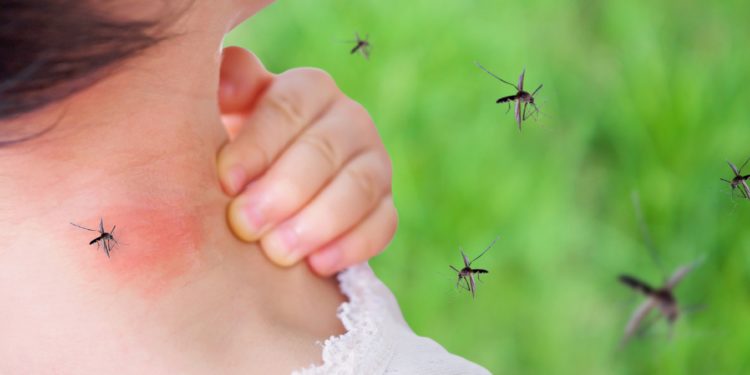 Junges Mädchen mit einem roten Ausschlag am Nacken nach einem Stich einer Mücke