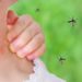 Junges Mädchen mit einem roten Ausschlag am Nacken nach einem Stich einer Mücke