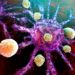 Killer-T-Zellen des Immunsystems greifen eine Krebszelle an.