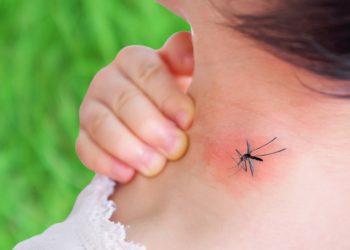 Eine Frau hält sich die Hand an den Hals, wo sie einen Mückenstich hat, auf dem noch die Mücke sitzt.