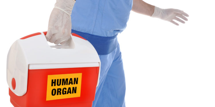 Mann transportiert eine Kühlbox mit der Aufschrift Human Organ