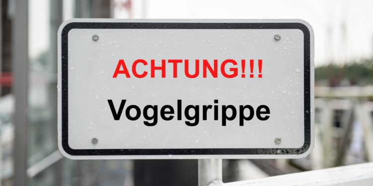 Schild mit der Aufschrift: Achtung!!! Vogelgrippe