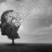 Werden wir bald in der Lage sein Alzheimer frühzeitig zu diagnostizieren? (Bild: freshidea/Stock.Adobe.com)