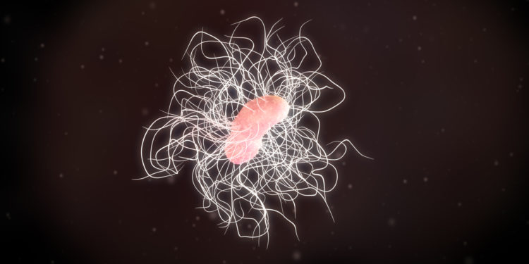 3D-Abbildung eines Bakteriums Clostridium difficile