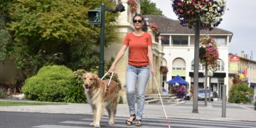 Wird es in Zukunft möglich sein bestimmte Formen der Blindheit zu heilen? (Bild: goodluz/Stock.Adobe.com)