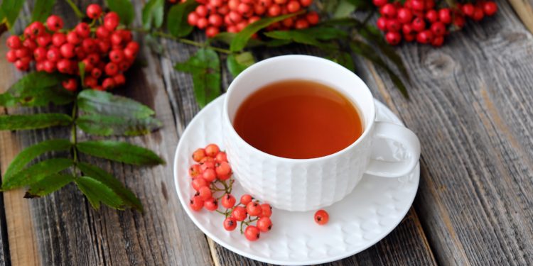 Eine Tasse mit Tee und Zweige mit Vogelbeeren auf einem Holztisch.