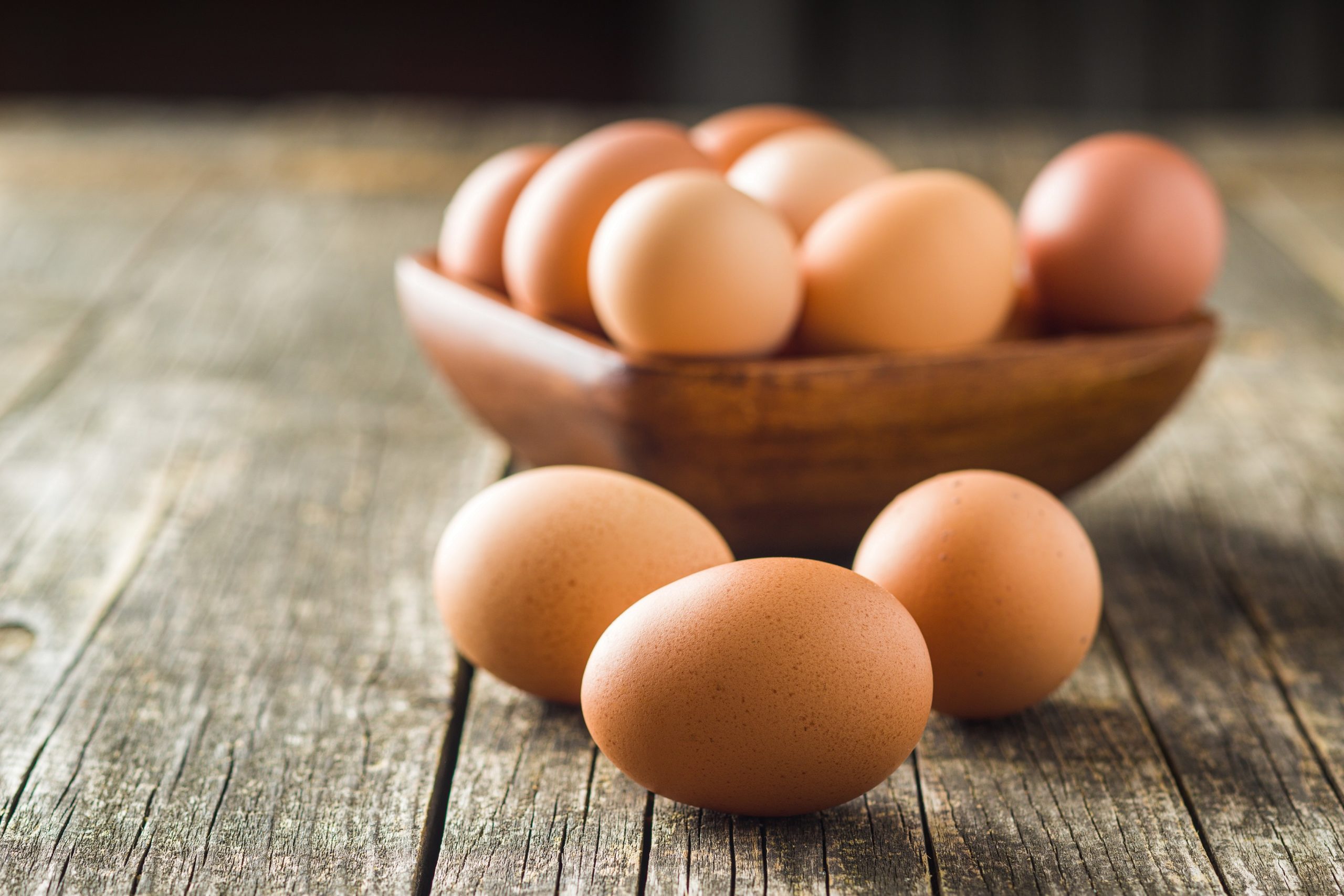 Rückruf für Eier wegen Salmonellen – Heilpraxis