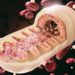 Eine grafische Darstellung über den Aufbau von Mitochondrien