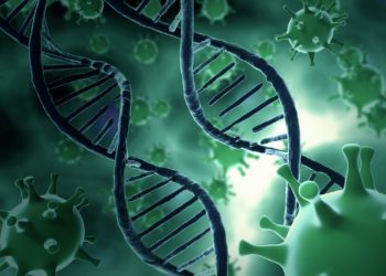 Eine grafische Darstellung von Viren, die zwei DNA-Stränge umgeben.