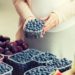 Eine schwangere Frau steht an einem Obststand und hält eine Plastikschale mit Heidelbeeren in den Händen.