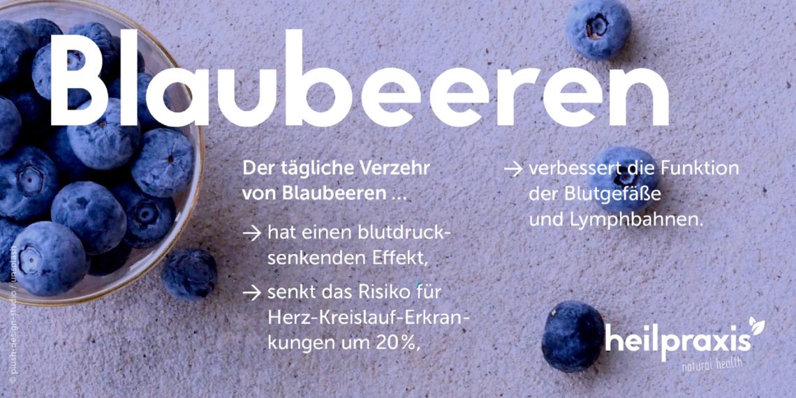 Blaubeere (Heidelbeere) Inhaltsstoffe und Wirkung Heilpraxis