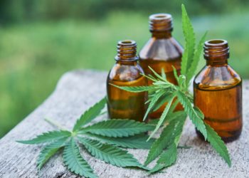 Kann durch CBD die Wirkung von Antibiotika verstärkt werden? (Bild: yavdat/Stock.Adobe.com)
